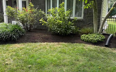 Photo of Michael G.'s yard after getting landscaping in Nazareth, PA