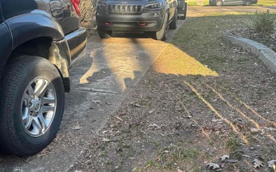 Photo of Robert P.'s yard after getting landscaping in Holly Springs, MS
