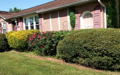 Photo of Joyce W.'s yard after getting landscaping in Carthage, TN