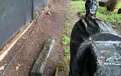 Photo of Mike M.'s yard after getting landscaping in Auburn, WA