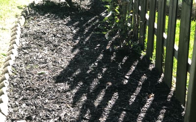 Photo of Joel B.'s yard after getting landscaping in Aurora, IN
