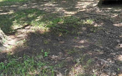 Photo of Shawn M.'s yard after getting landscaping in Midlothian, TX
