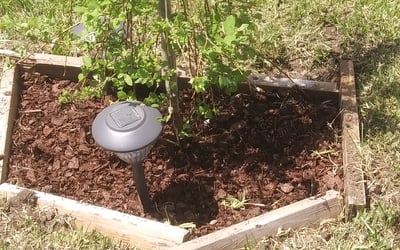 Photo of Brenda F.'s yard after getting landscaping in Fort Monroe, VA