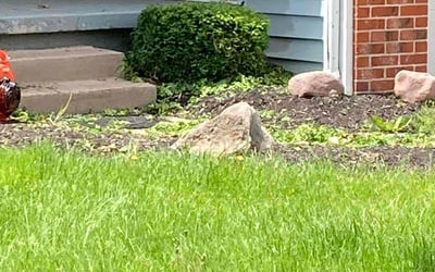 Photo of Michael B.'s yard after getting landscaping in Clarence Center, NY