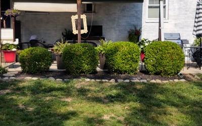 Photo of Terry L.'s yard after getting tree care in Oxford, OH