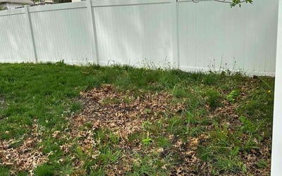 Photo of Amber C.'s yard after getting landscaping in Basehor, KS