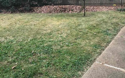Photo of Hope G.'s yard after getting landscaping in Stony Creek, VA