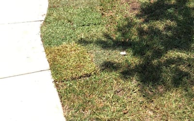 Photo of Anthony C.'s yard after getting landscaping in Rosser, TX