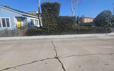 Photo of James G.'s yard after getting landscaping in Sylmar, CA