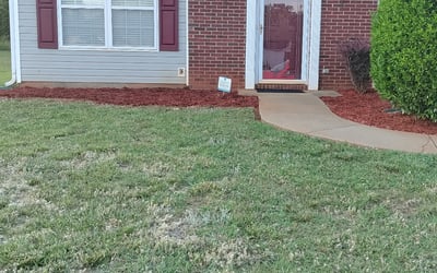 Photo of Veronica W.'s yard after getting landscaping in Harmony, NC