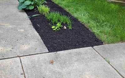 Photo of Stacey C.'s yard after getting landscaping in Bowie, MD