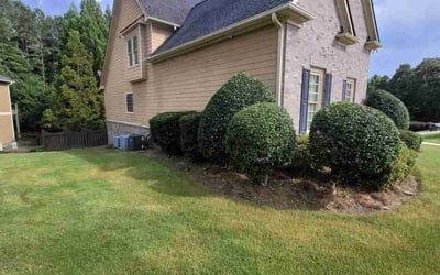 Photo of Melissa M.'s yard after getting landscaping in Rydal, GA