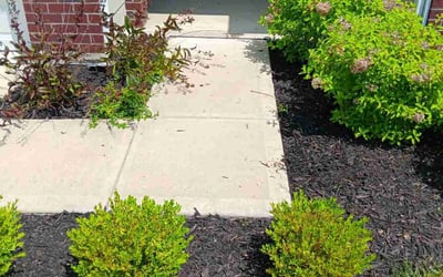 Photo of Christopher M.'s yard after getting tree care in Bloomington, IN