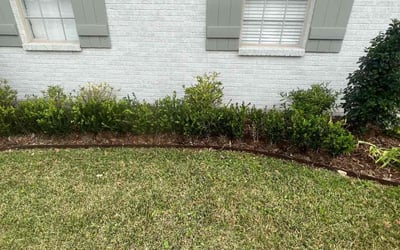 Photo of Andrew S.'s yard after getting landscaping in Vacherie, LA
