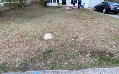 Photo of Velicia B.'s yard after getting landscaping in Woodleaf, NC