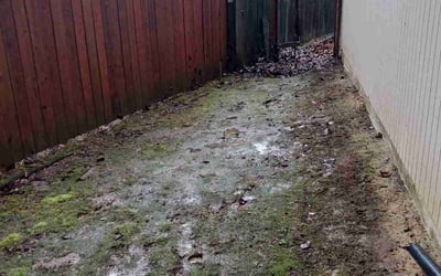 Photo of Tracy S.'s yard after getting landscaping in Sherwood, OR