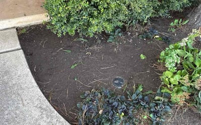Photo of Michelle T.'s yard after getting landscaping in Purcell, OK