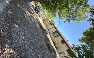 Photo of Andrew M.'s yard after getting landscaping in Indian Hills, CO