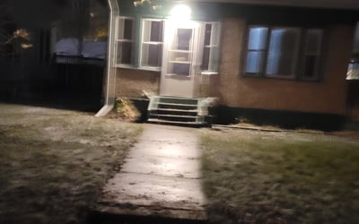 Photo of Donna C.'s yard after getting tree care in Brainerd, MN