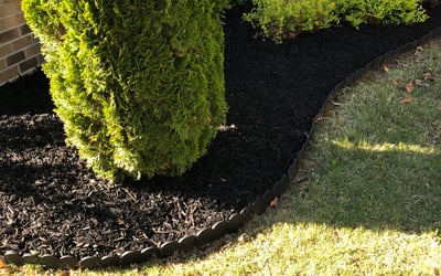 Photo of Pamela G.'s yard after getting landscaping in New Hill, NC