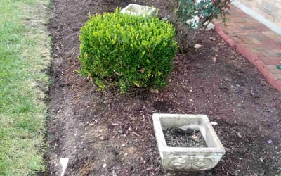 Photo of Adrian R.'s yard after getting landscaping in Dowell, MD