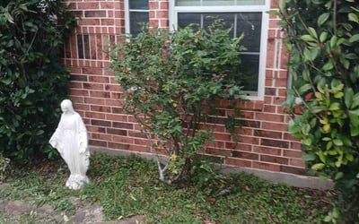 Photo of Terry L.'s yard after getting landscaping in Montgomery, TX