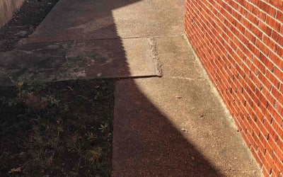 Photo of David T.'s yard after getting landscaping in Marion, AR