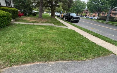 Photo of David P.'s yard after getting landscaping in Frederick, MD
