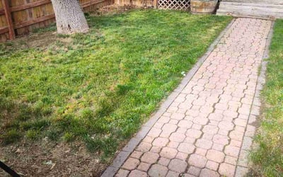 Photo of Dylan O.'s yard after getting landscaping in Golden, CO