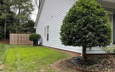 Photo of Amanda A.'s yard after getting landscaping in Charlotte, NC