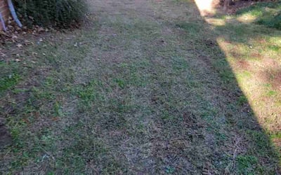 Photo of David H.'s yard after getting landscaping in Mineral Springs, NC