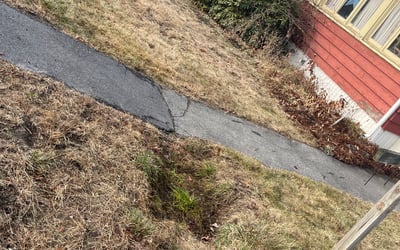 Photo of James S.'s yard after getting landscaping in Southbridge, MA
