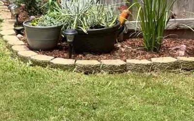 Photo of Heather L.'s yard after getting landscaping in Coupland, TX