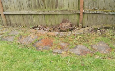 Photo of Laura D.'s yard after getting landscaping in Molalla, OR