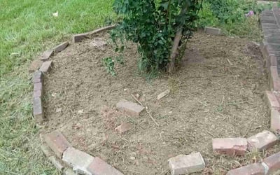Photo of Bill B.'s yard after getting landscaping in Byhalia, MS