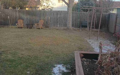 Photo of Amy D.'s yard after getting landscaping in Empire, CO