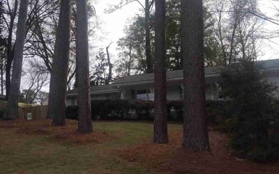 Photo of Dawn H.'s yard after getting tree care in Atlanta, GA
