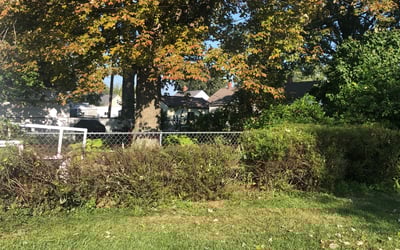 Photo of Patricia N.'s yard after getting landscaping in Brecksville, OH