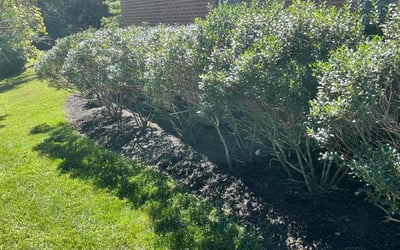 Photo of Matthew P.'s yard after getting landscaping in Woodbury, TN