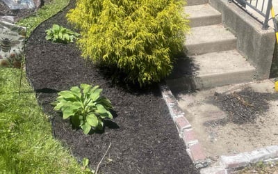 Photo of Michelle C.'s yard after getting landscaping in Cincinnati, OH