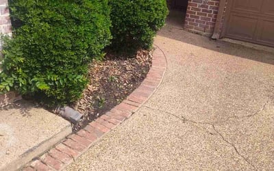 Photo of Cathleen N.'s yard after getting tree care in Springtown, TX