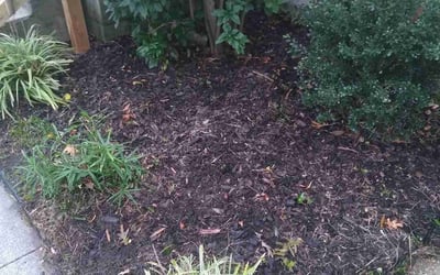 Photo of Katie G.'s yard after getting landscaping in Zuni, VA