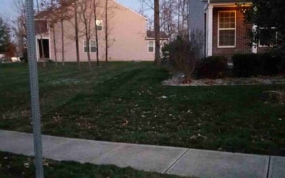 Photo of Sean S.'s yard after getting landscaping in Cicero, IN