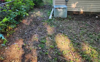 Photo of Tara S.'s yard after getting landscaping in Washington, MO