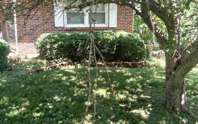 Photo of Alex S.'s yard after getting landscaping in Rich Hill, MO