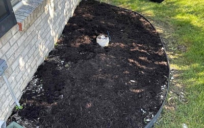 Photo of Jill B.'s yard after getting landscaping in Pittsboro, IN