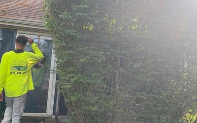 Photo of Pamela J.'s yard after getting landscaping in Lorton, VA