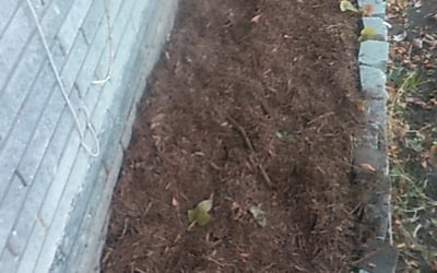 Photo of Jacob S.'s yard after getting landscaping in Adkins, TX
