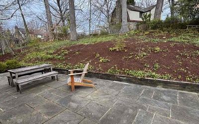 Photo of John D.'s yard after getting landscaping in Bethesda, MD