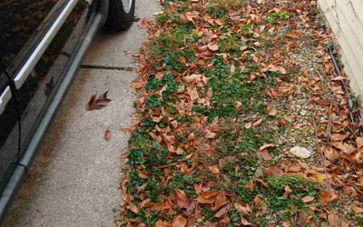 Photo of Tim W.'s yard after getting landscaping in Stoughton, WI